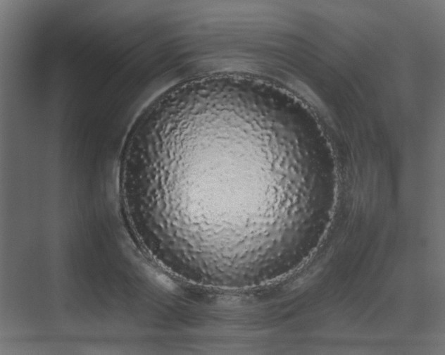 X0000075330790200609081056