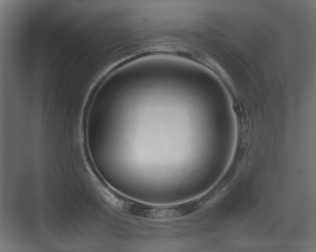 X0000075330795200609081056