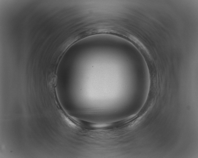 X0000075330801200609081056