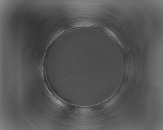 X0000075330802200609081056