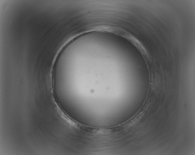 X0000075330808200609081056