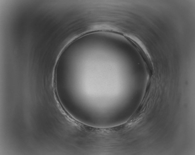 X0000075330815200609081056