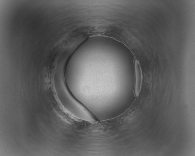 X0000075330818200609081055