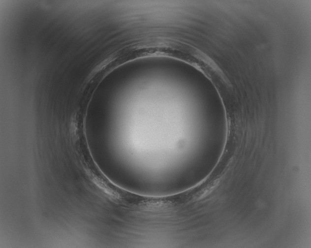 X0000075330826200609081055