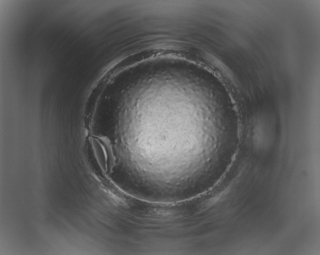 X0000075330829200609081055