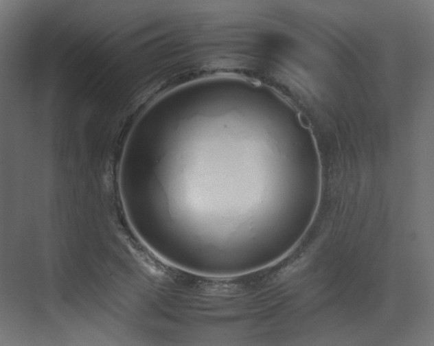 X0000075330833200609081055