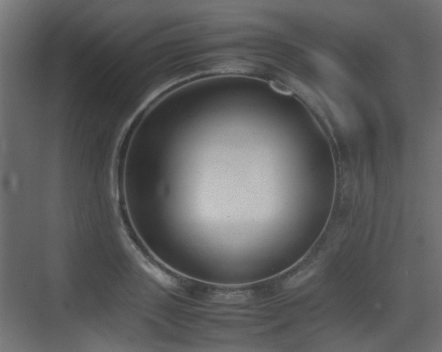 X0000075330843200609081055