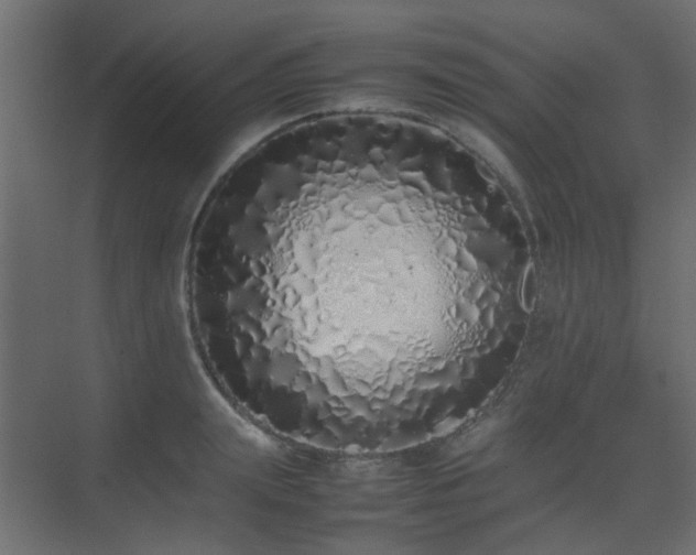 X0000075330847200609081055