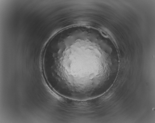X0000075330851200609081056