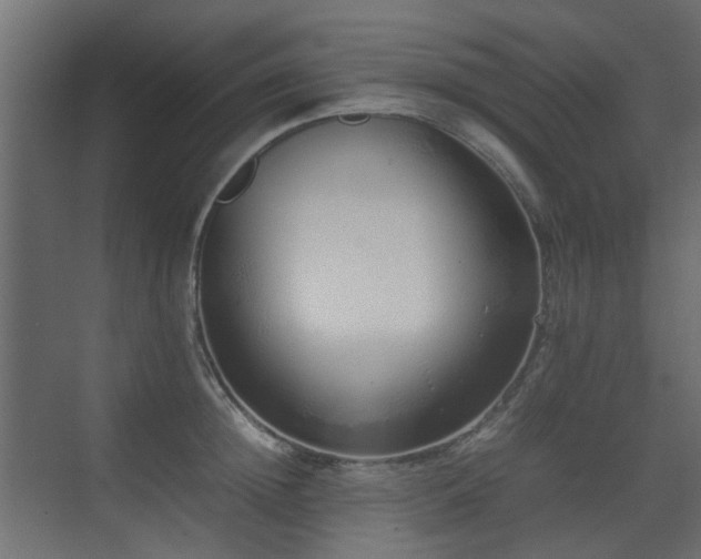 X0000075330852200609081056