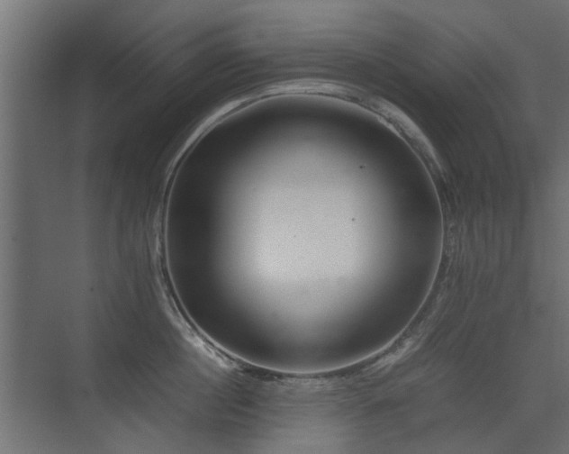 X0000075330860200609081056