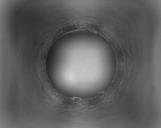 X0000075330865200609081055