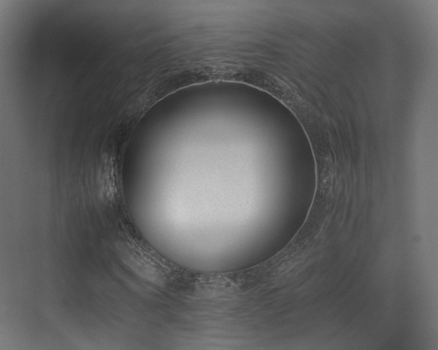 X0000075330866200609081055