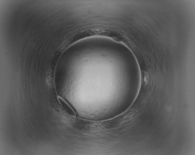 X0000075330867200609081055