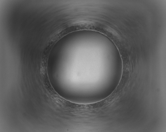 X0000075330869200609081055