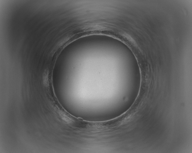X0000075330873200609081055