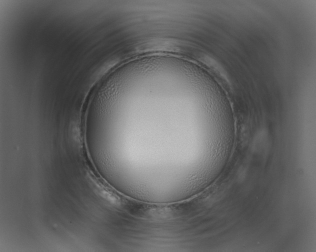 X0000075330882200609081055