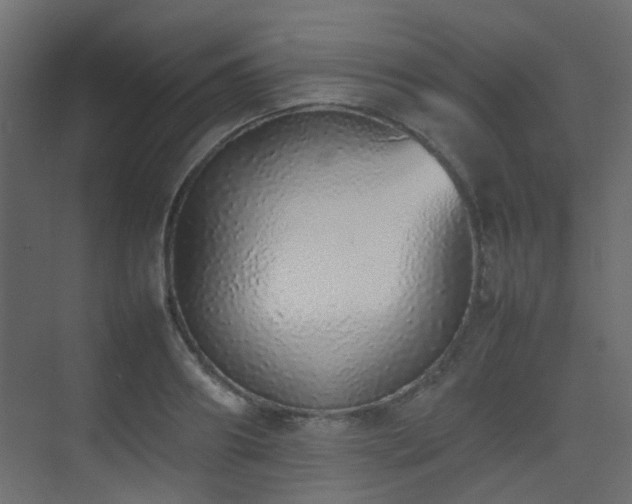 X0000075330890200609081055