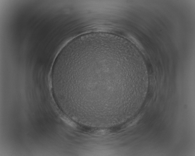 X0000075330891200609081054