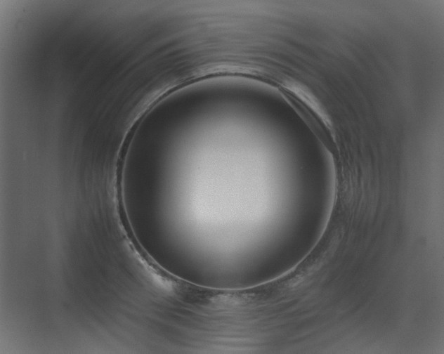 X0000075330898200609081054
