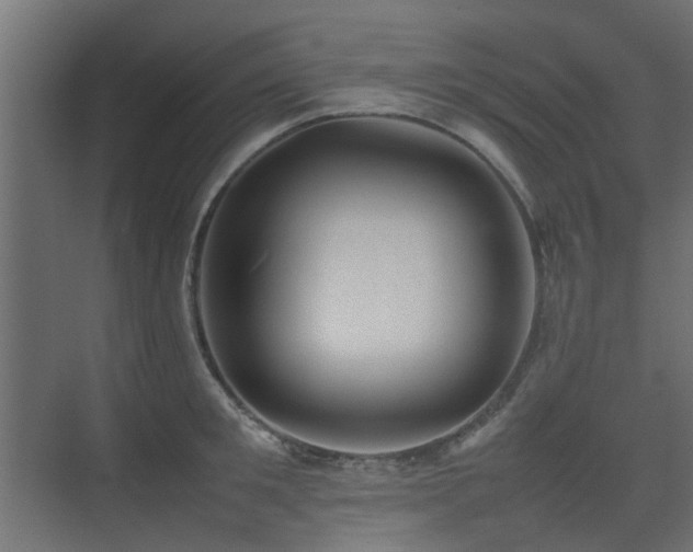 X0000075330901200609081054