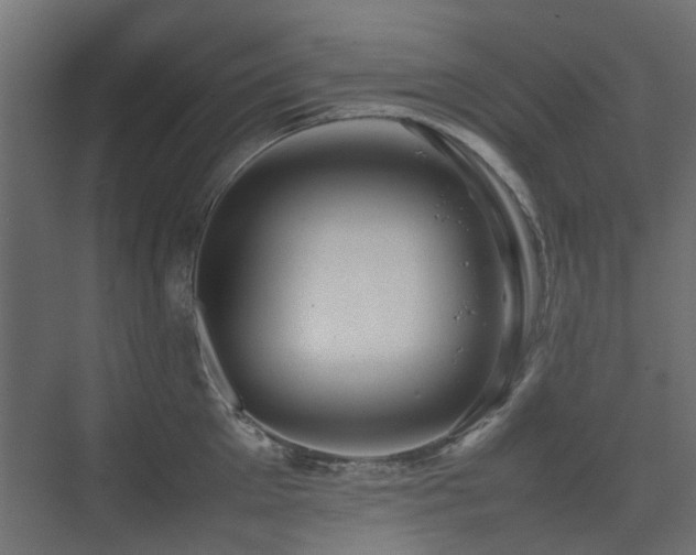 X0000075330905200609081054