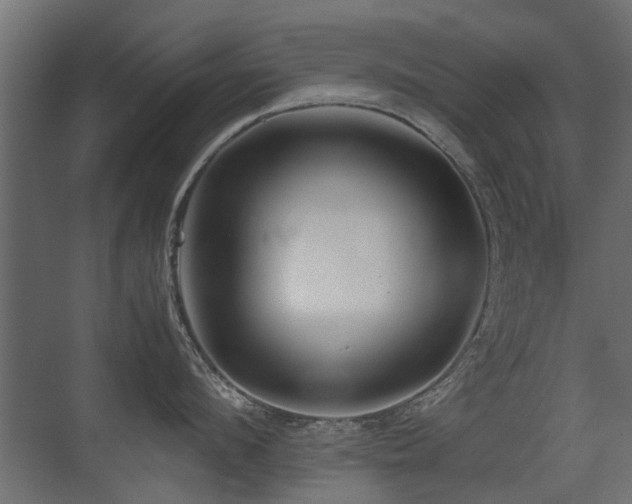 X0000075330912200609081054
