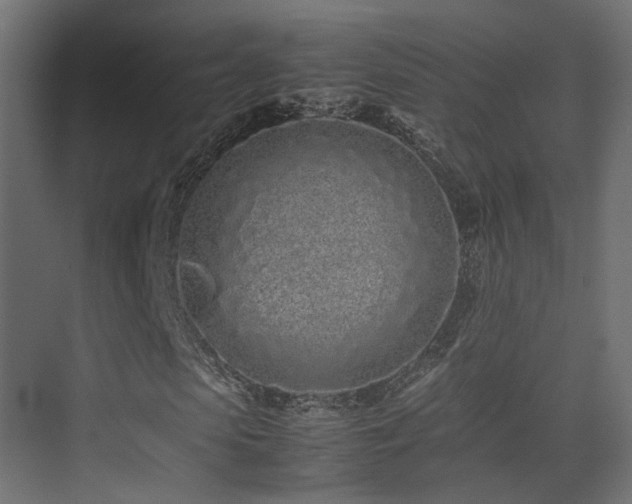 X0000075330913200609081053