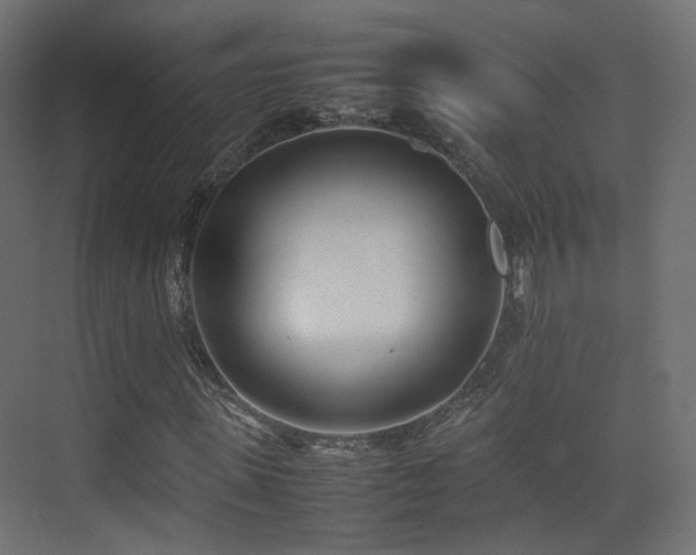 X0000075330915200609081053
