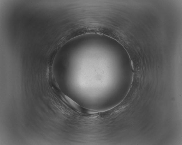 X0000075330916200609081053