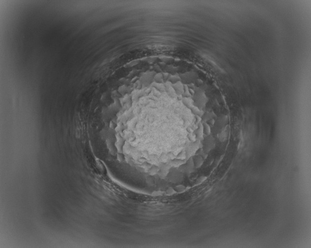 X0000075330917200609081053