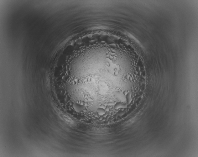 X0000075330921200609081053