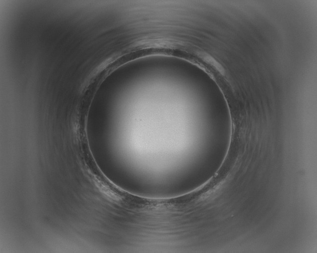 X0000075330922200609081053