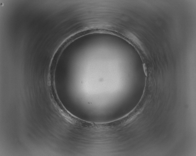 X0000075330924200609081054