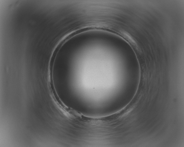 X0000075330940200609081054