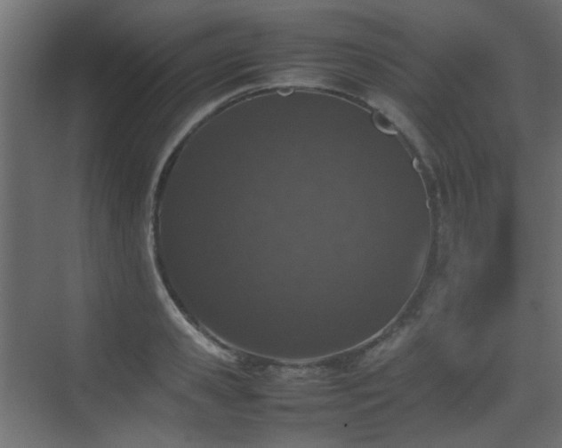 X0000075330941200609081054