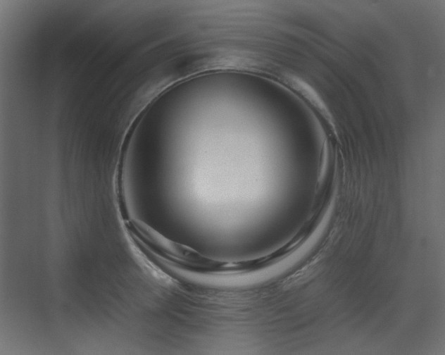 X0000075330946200609081054