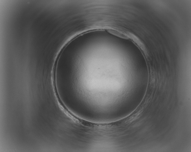X0000075330958200609081054