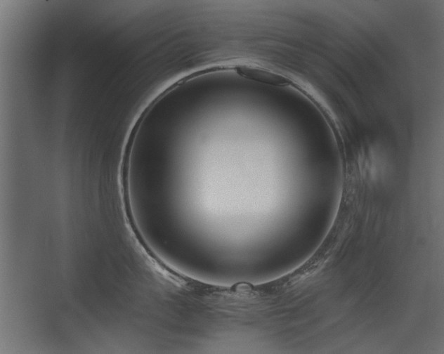 X0000075330959200609081054