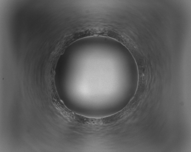 X0000075330961200609081053