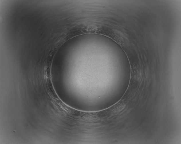 X0000075330962200609081053
