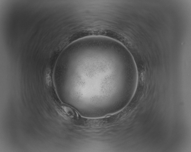 X0000075330963200609081053