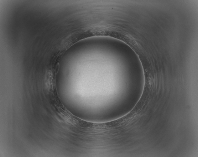X0000075330964200609081053