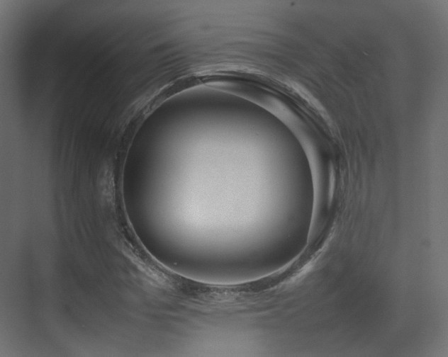 X0000075330969200609081053