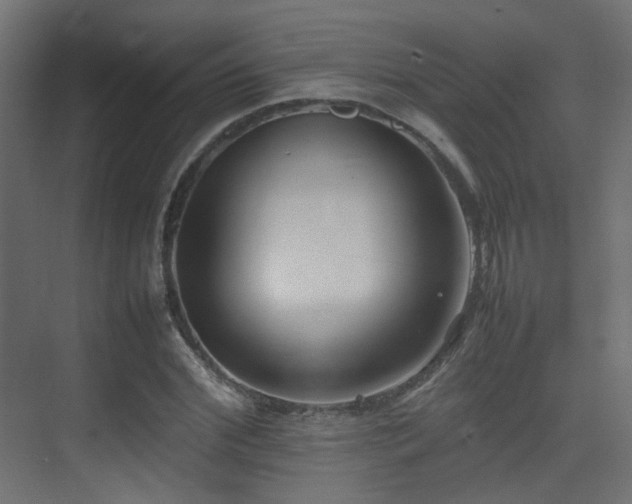 X0000075330972200609081053