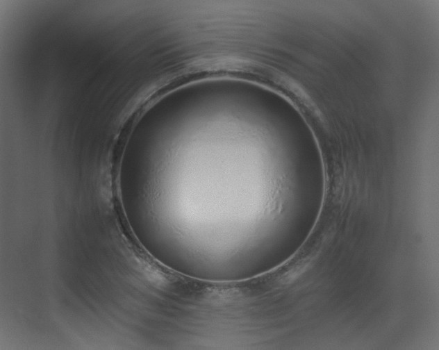 X0000075330978200609081053