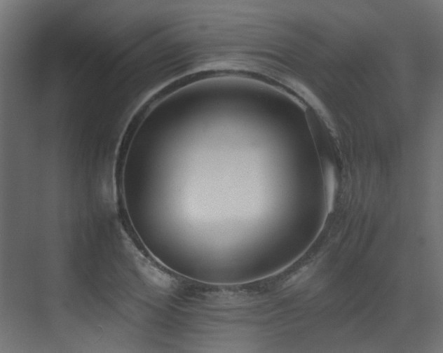 X0000075330980200609081053