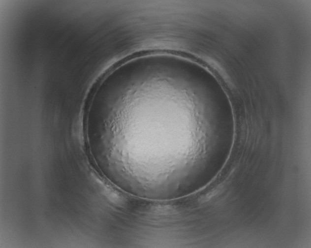 X0000075330982200609081053