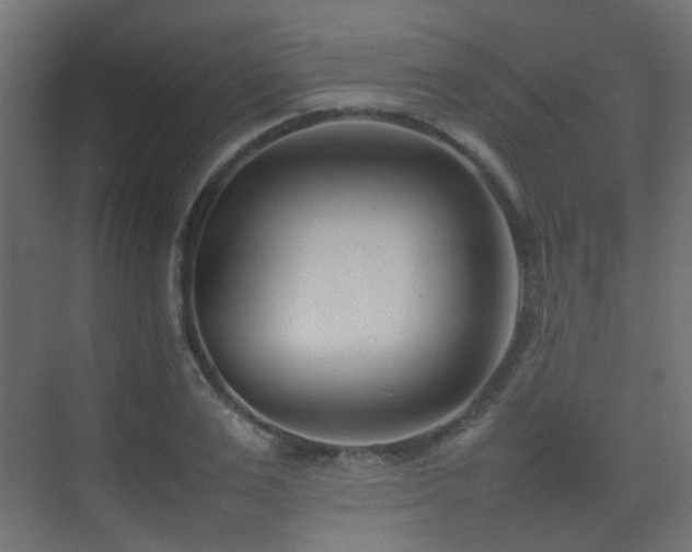 X0000075330983200609081053