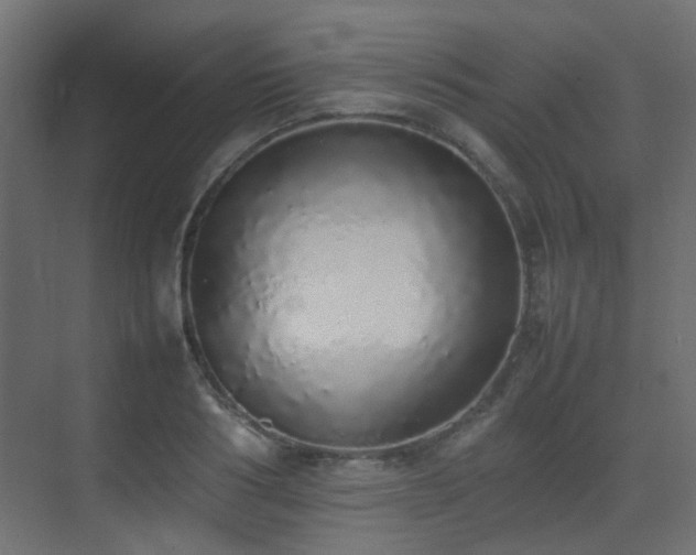 X0000075330986200609081053